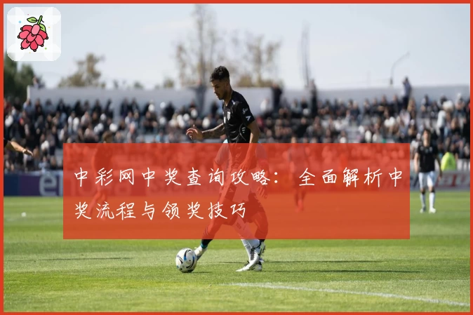 中彩网中奖查询攻略：全面解析中奖流程与领奖技巧