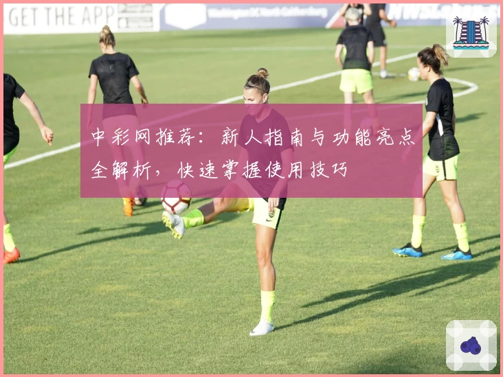 中彩网推荐:新人指南与功能亮点全解析,快速掌握使用技巧