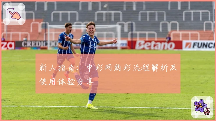 新人指南：中彩网购彩流程解析及使用体验分享