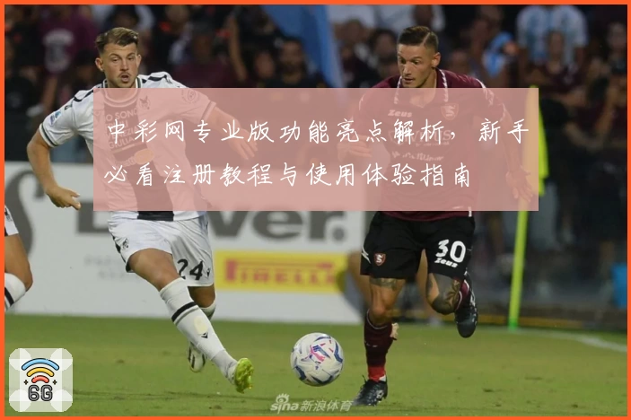 中彩网专业版功能亮点解析,新手必看注册教程与使用体验指南