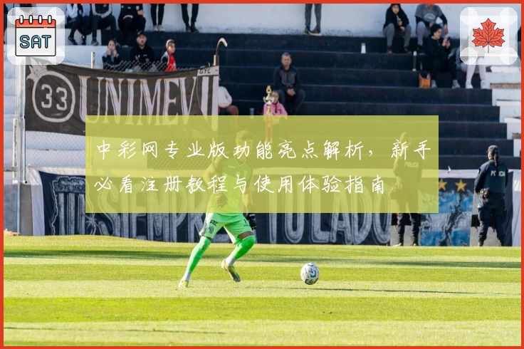 中彩网专业版功能亮点解析，新手必看注册教程与使用体验指南