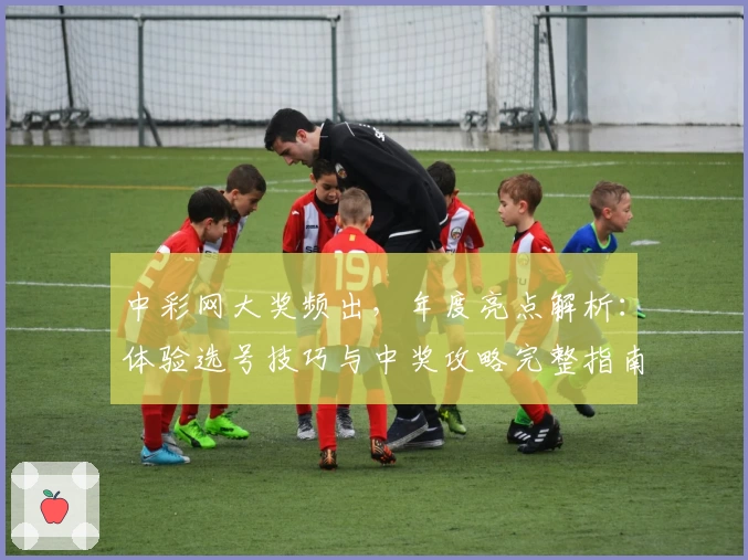 中彩网大奖频出，年度亮点解析：体验选号技巧与中奖攻略完整指南
