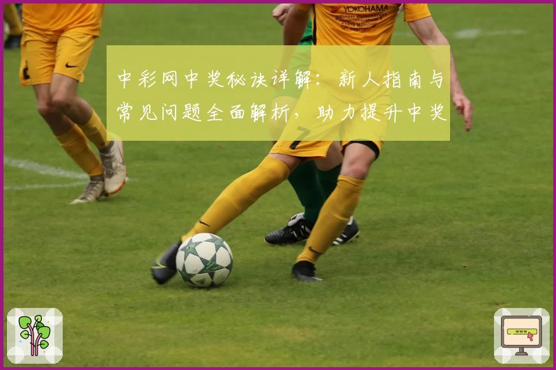 中彩网中奖秘诀详解:新人指南与常见问题全面解析,助力提升中奖概率